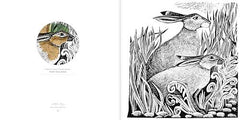 Angela Harding Colouring Book: Make Your Own Art Masterpiece