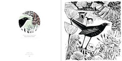 Angela Harding Colouring Book: Make Your Own Art Masterpiece