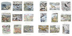 Angela Harding Colouring Book: Make Your Own Art Masterpiece