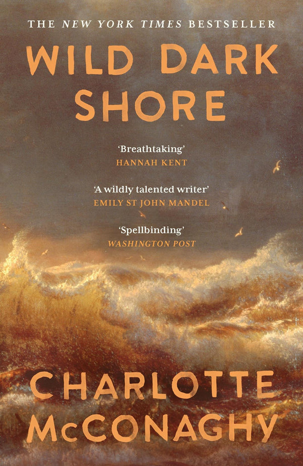 Wild Dark Shore: The internationally bestselling word-of-mouth sensation