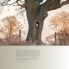 Wilder Britain - Volume I