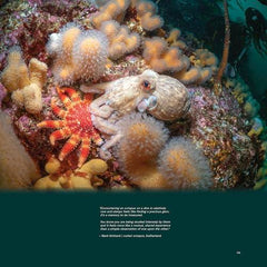 Wilder Britain - Volume I