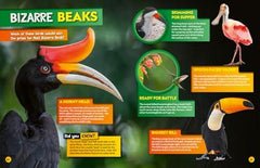 Weird but true! 2026: wild and wacky facts & photos! (National Geographic Kids)