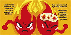 First Emotions: My Little Box of Emotions: Little guides for all my emotions
