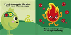 First Emotions: My Little Box of Emotions: Little guides for all my emotions