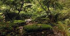 Spanish Gardens