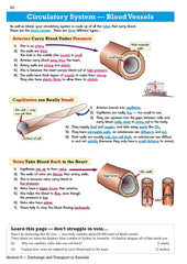 GCSE Combined Science Edexcel Revision Guide - Foundation inc.