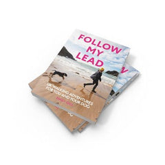Follow My Lead: UK Walking Adventures for You and Your Dog