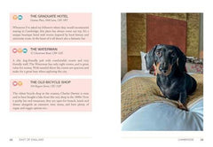 Follow My Lead: UK Walking Adventures for You and Your Dog