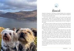 Follow My Lead: UK Walking Adventures for You and Your Dog