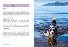 Follow My Lead: UK Walking Adventures for You and Your Dog