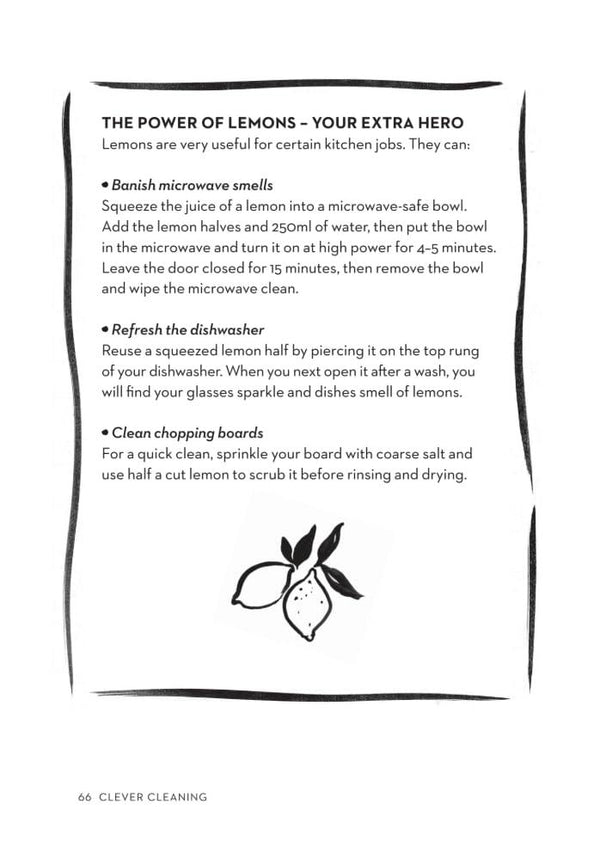 Clever Cleaning: The natural way to clean everything