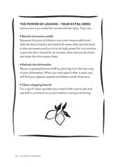 Clever Cleaning: The natural way to clean everything