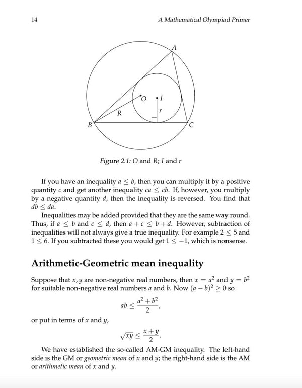 A Mathematical Olympiad Primer