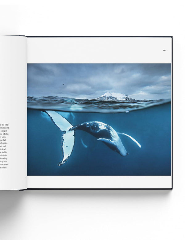 60 Years of Wildlife Photographer of the Year