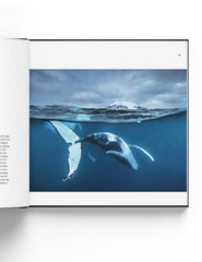 60 Years of Wildlife Photographer of the Year
