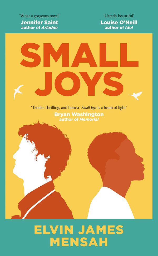 Small Joys: A Buzzfeed 'Amazing New Book You Need to Read ASAP' by Elvin James Mensah - used book at Perkology Books