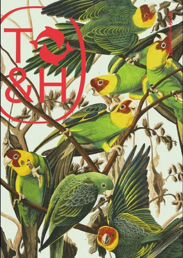 Thames & Hudson: Spring 2021 by Various - used book at Perkology Books