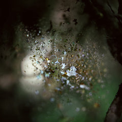 Passing Through [Hardcover] Nigel Grierson by Nigel Grierson - used book at Perkology Books