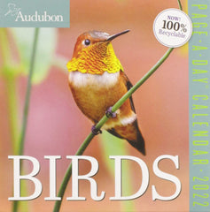 AUDUBON BIRDS PAGE-A-DAY 2022 by WORKMAN - used book at Perkology Books