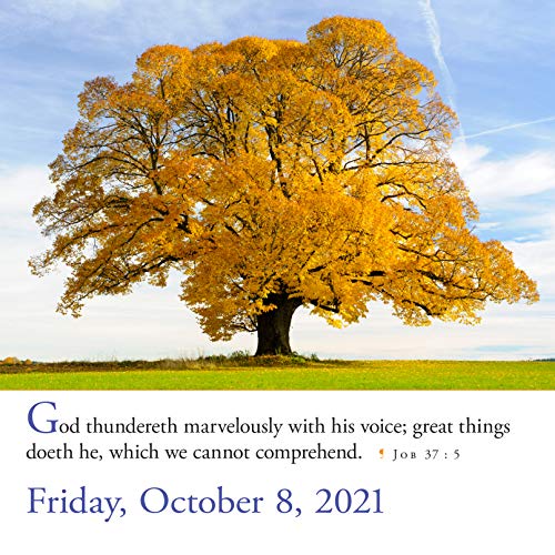 365 Bible Verses-A-Year Page-A-Day Calendar 2021 Workman Calendars by Workman Calendars - used book at Perkology Books