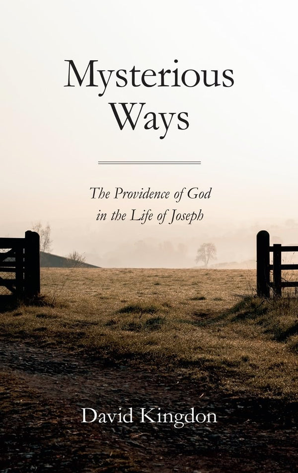 Mysterious Ways: The Providence of God in the Life of Joseph by David G. Kingdon - used book at Perkology Books