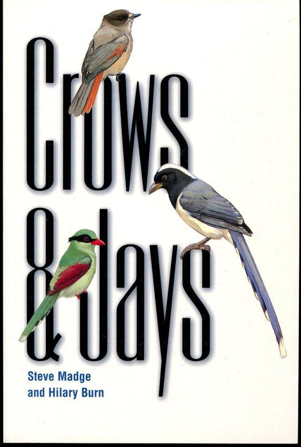 Crows and Jays by Steve Madge - used book at Perkology Books
