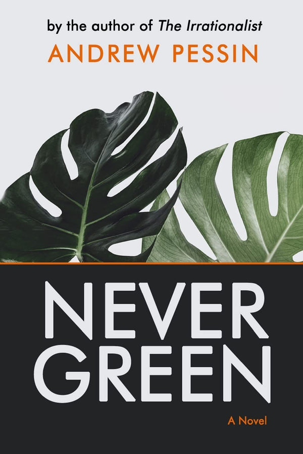 Nevergreen [Paperback] Pessin, Andrew by Andrew Pessin - used book at Perkology Books