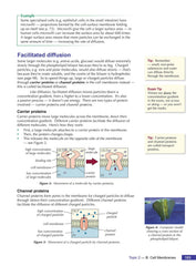 A-Level Biology for AQA