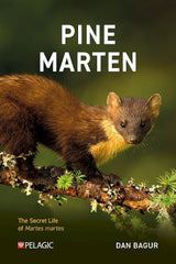 Pine Marten: The Secret Life of Martes martes (Pelagic Monographs) by Dan Bagur - used book at Perkology Books