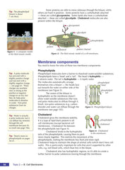A-Level Biology for AQA