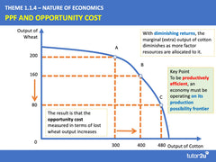 tutor2u Edexcel A-Level Economics Theme 1 Revision Flashcards