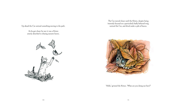 The Cat Who Taught Zen by James Norbury - used book at Perkology Books