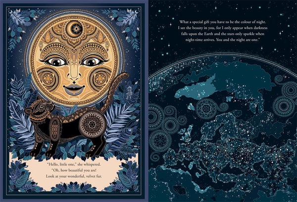 The Midnight Panther by Poonam Mistry - used book at Perkology Books