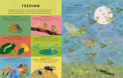 There are Bugs Everywhere by Lily Murray - used book at Perkology Books