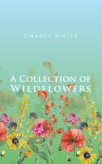 A Collection of Wildflowers by Charly White - used book at Perkology Books