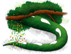 The Lost Wish Anderson, Clare; Jacobs, Emily and Kurran, Emma by Clare Anderson - used book at Perkology Books