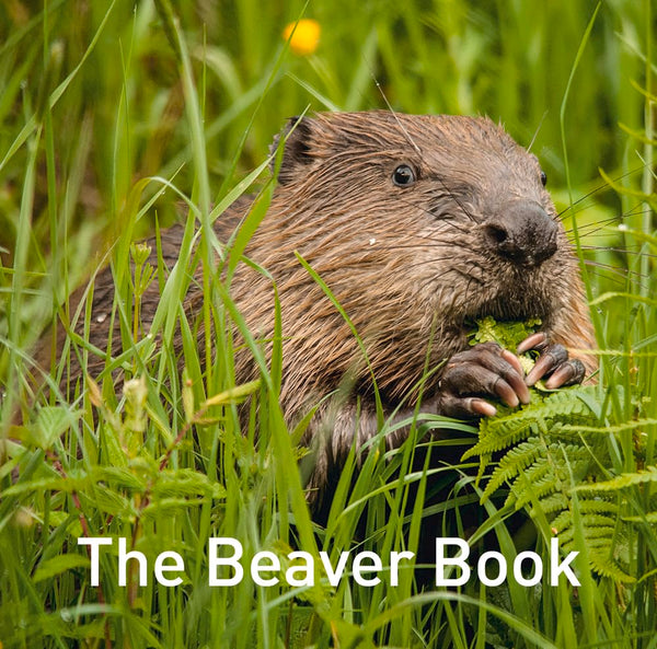 The Beaver Book (Nature Book Series) by Hugh Warwick - used book at Perkology Books