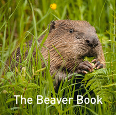 The Beaver Book (Nature Book Series) by Hugh Warwick - used book at Perkology Books