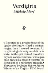 Verdigris by Michele Mari - used book at Perkology Books