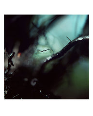 Passing Through [Hardcover] Nigel Grierson by Nigel Grierson - used book at Perkology Books