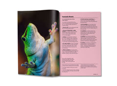 Listified!: Britannica’s 300 lists that will blow your mind. by Andrew Pettie - used book at Perkology Books