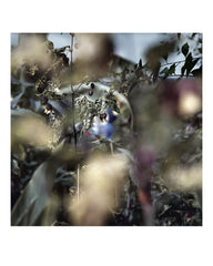 Passing Through [Hardcover] Nigel Grierson by Nigel Grierson - used book at Perkology Books