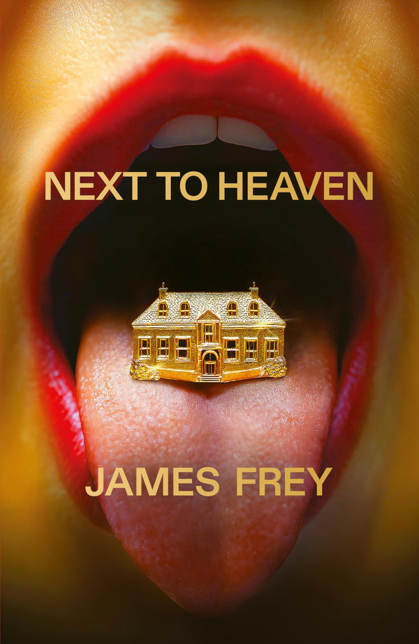 Next to Heaven: The PROVOCATIVE new novel from BESTSELLING author of A Million