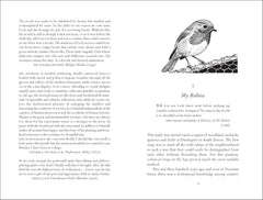 The Life of the Robin: Voted Britain's National Bird by David Lack - used book at Perkology Books