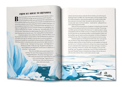 Antarctica: The Melting Continent by Karen Romano Young - used book at Perkology Books