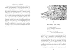 The Life of the Robin: Voted Britain's National Bird by David Lack - used book at Perkology Books