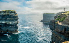 Wild Guide West of Ireland