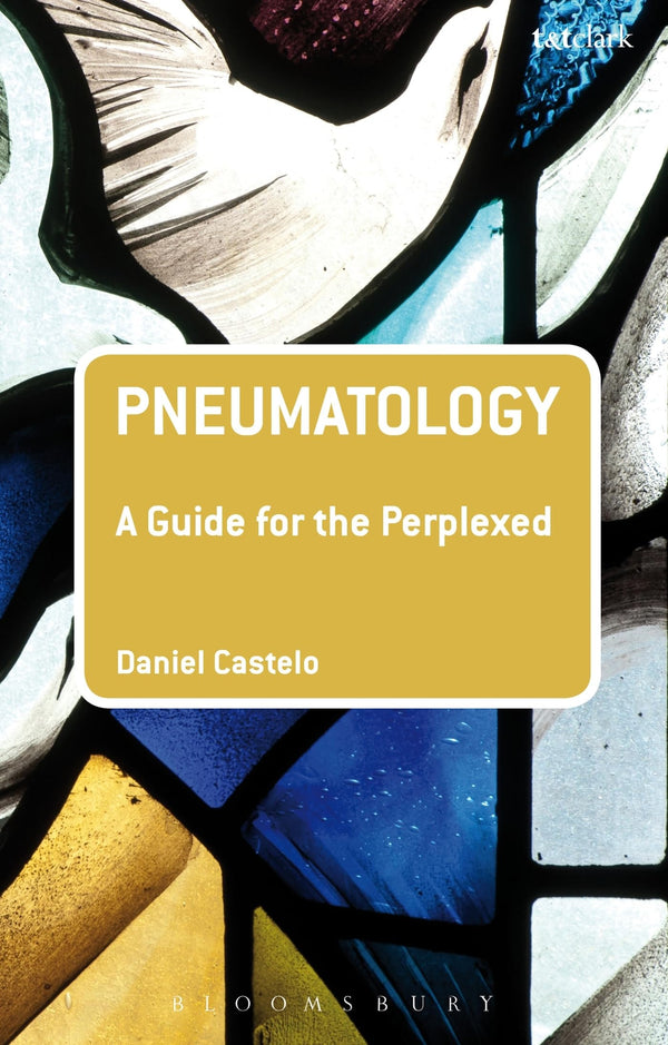 Pneumatology: A Guide for the Perplexed (Guides for the Perplexed) by Daniel Castelo - used book at Perkology Books