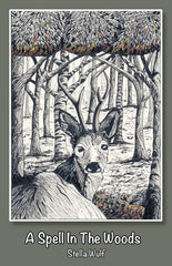 A Spell in The Woods [Paperback] Wulf, Stella and Jefferson, Claire by Stella Wulf - used book at Perkology Books